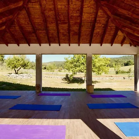 Affittacamere Wild Fig Retreat