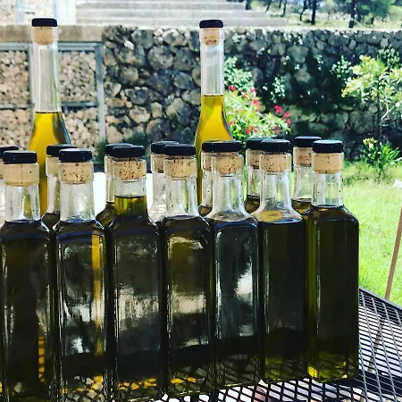 Affittacamere Wild Fig Retreat