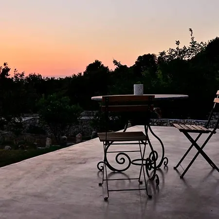 Guest house Wild Fig Retreat