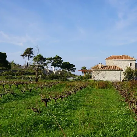 Wild Fig Retreat *