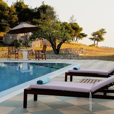 Wild Fig Retreat